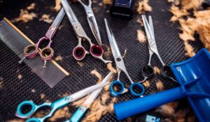 In-Home Senior Hairdresser Miami