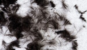 Miami Senior Hairstyling Services